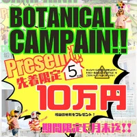 画像377