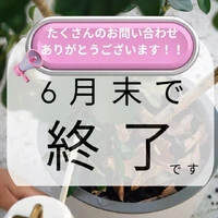 画像420