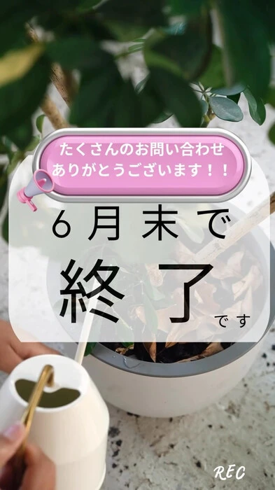 画像420
