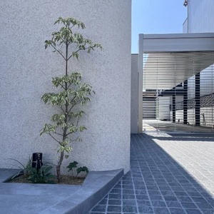 外構　和歌山　施工事例